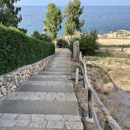 Villa Hibiscus Scopello Scopello  Esterno foto