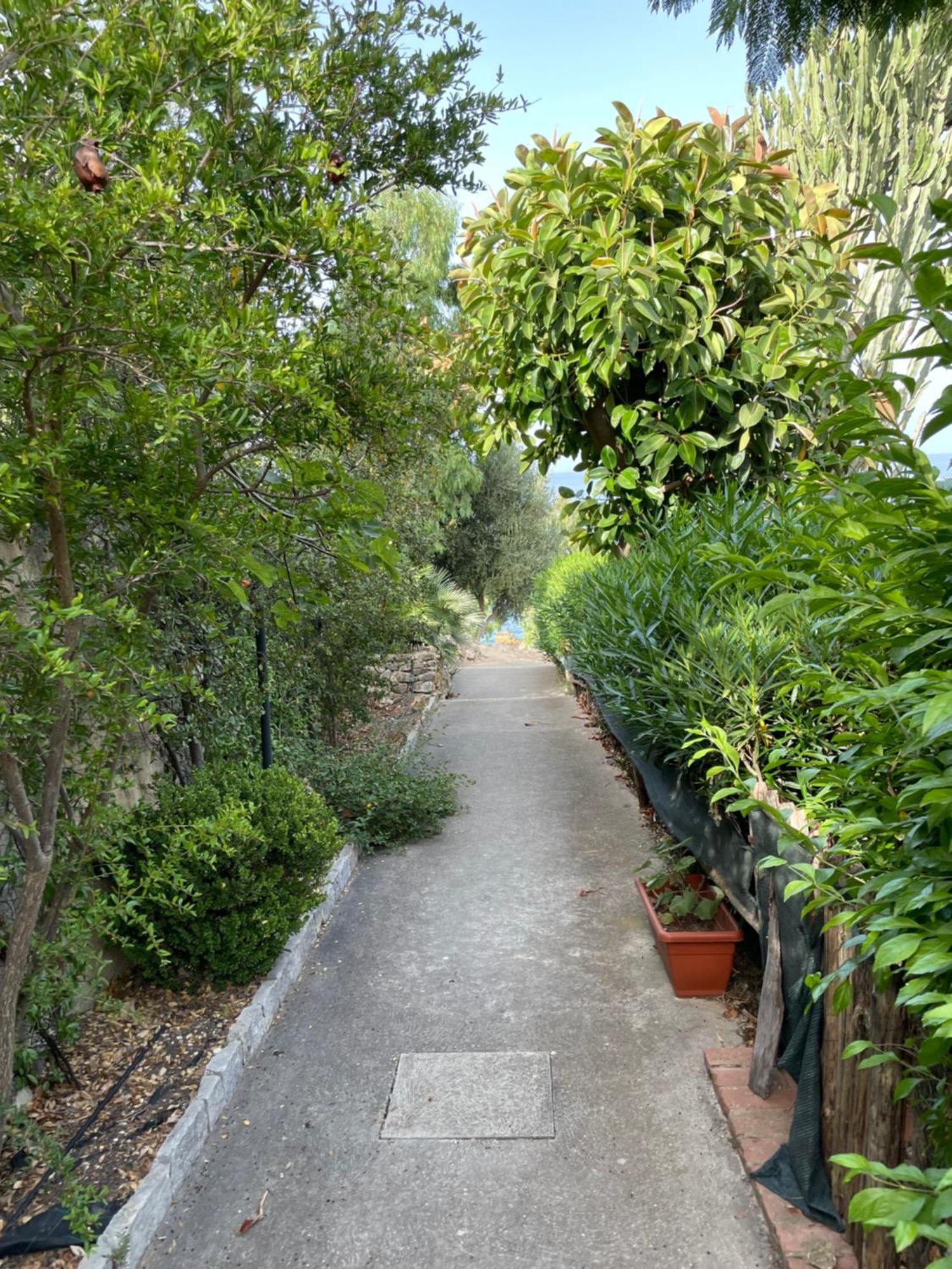 Villa Hibiscus Scopello Scopello  Esterno foto