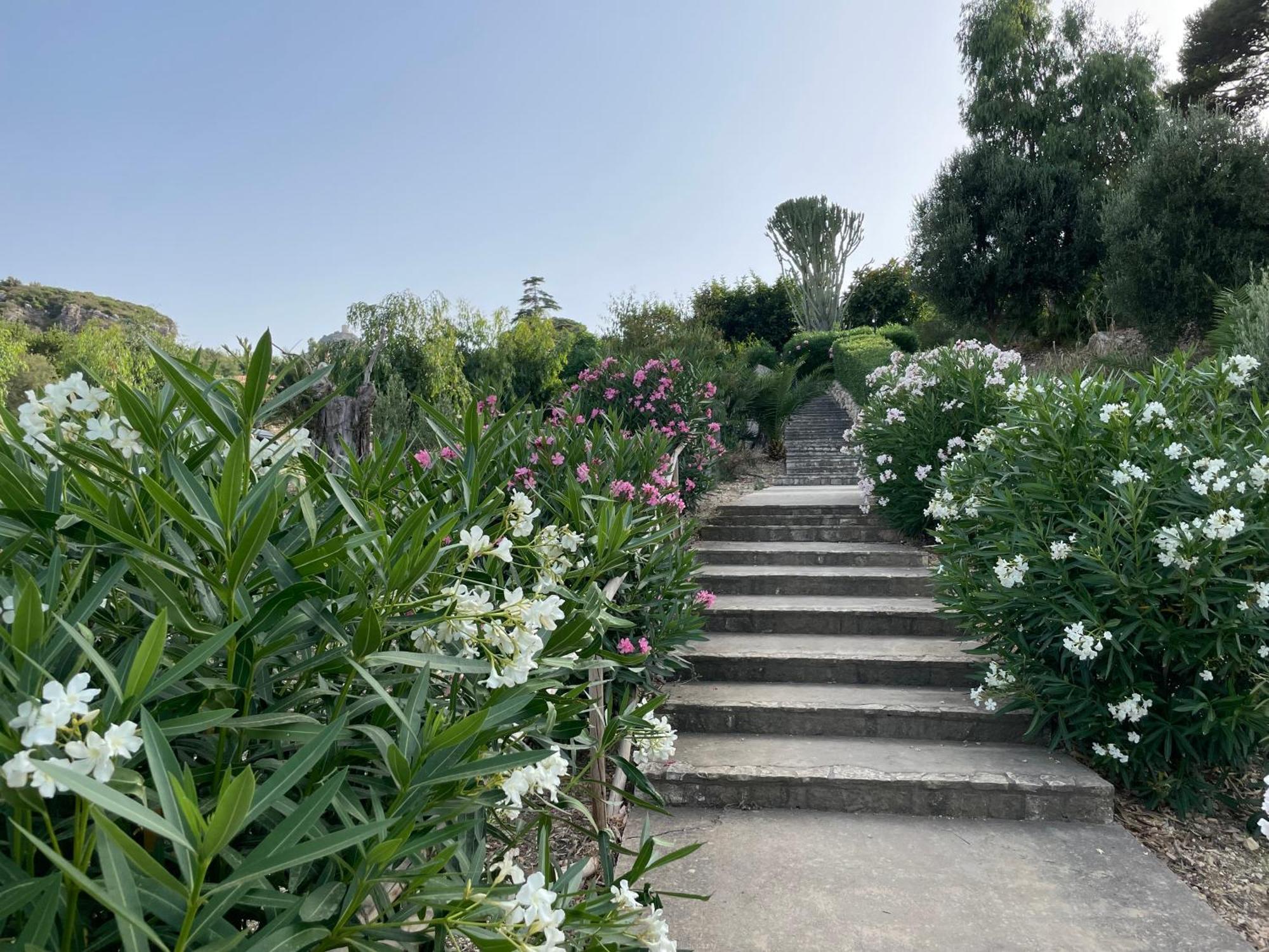 Villa Hibiscus Scopello Scopello  Esterno foto