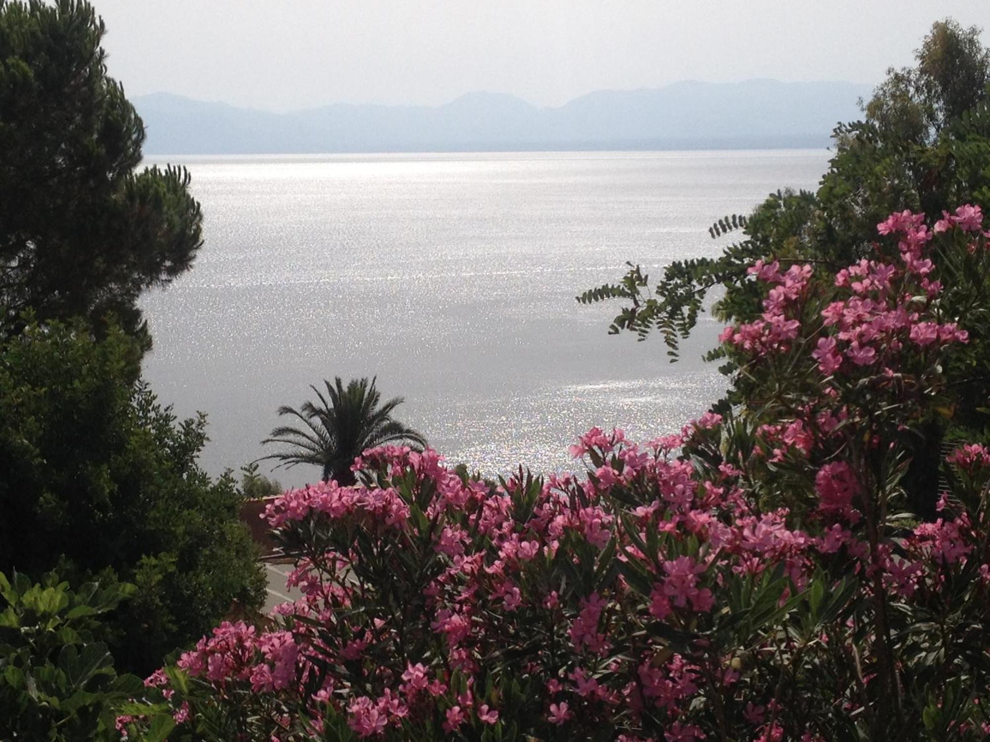 Villa Hibiscus Scopello Scopello  Esterno foto